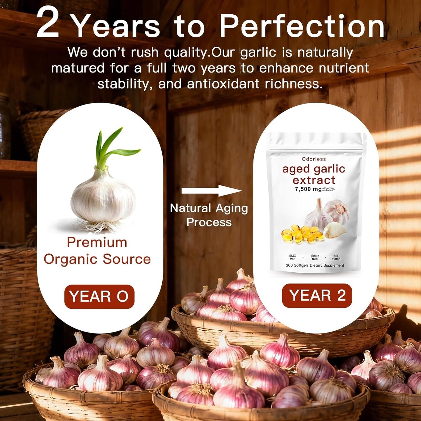 Aged Garlic Extract