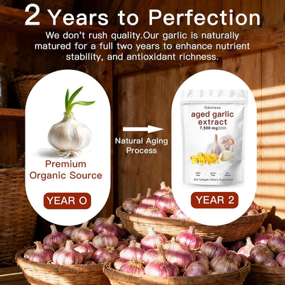 Aged Garlic Extract