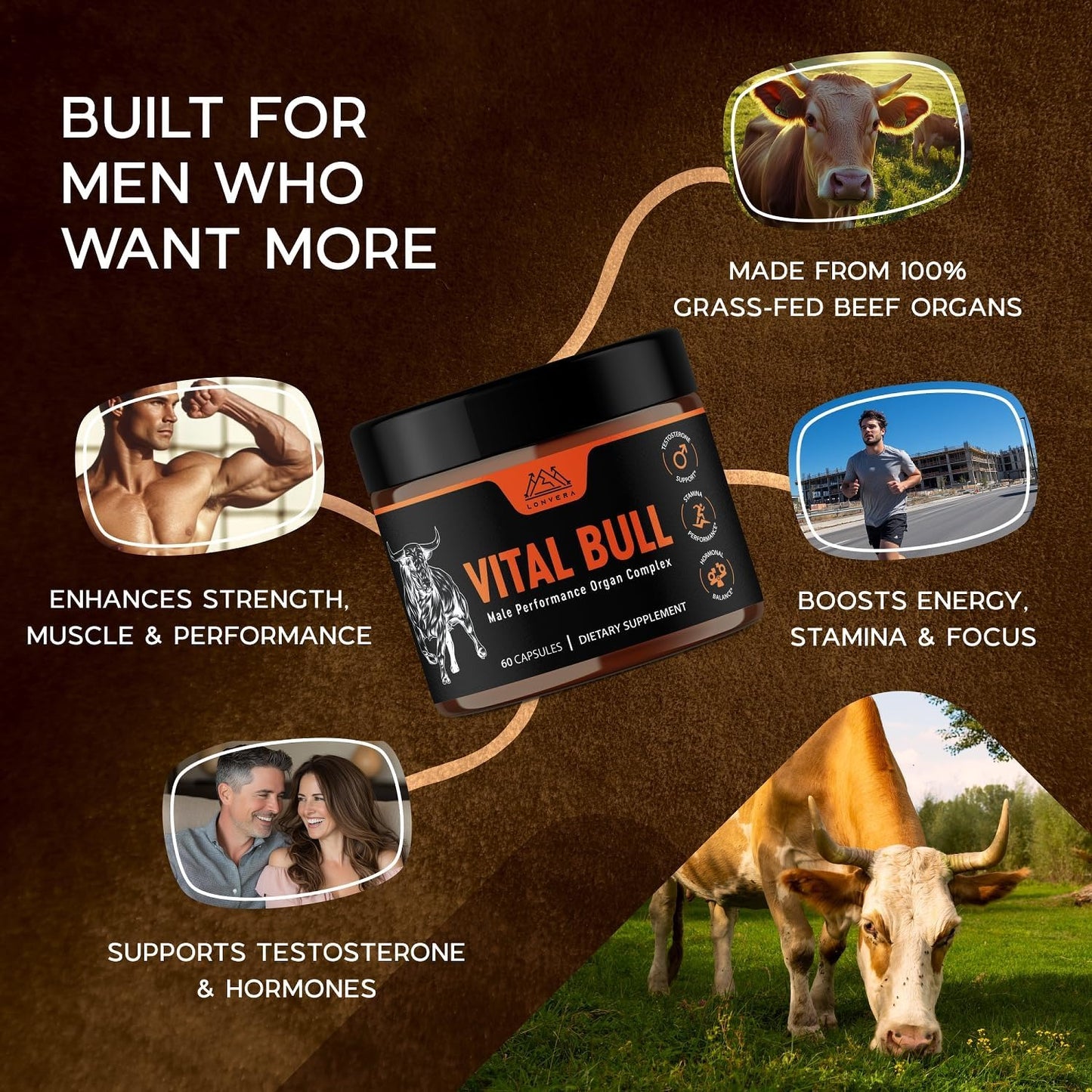 vital bull